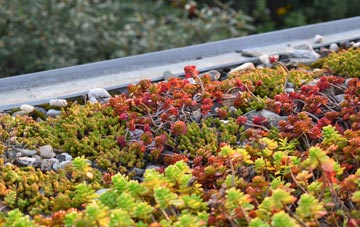 the cost of Rishangles green roof installation