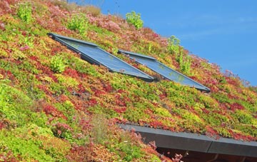 Rishangles living roof systems