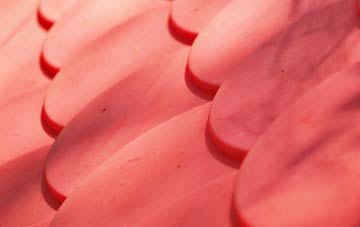 Rishangles plastic roof costs