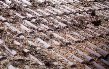 Rishangles roof cleaning companies