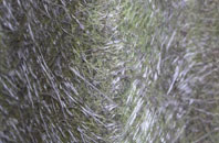 Rishangles fibreglass roof work